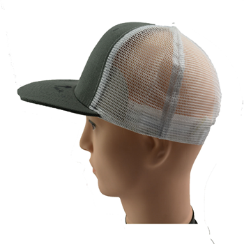 mesh cap