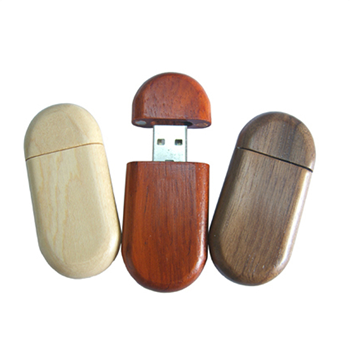 USB Flash Drive 2G