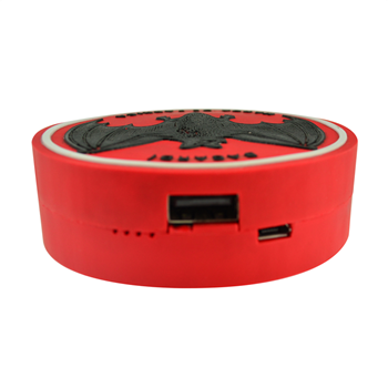 Customized Power Bank