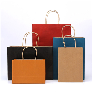 Paper Shopping Bag