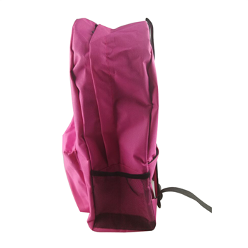 Students Backpack.
