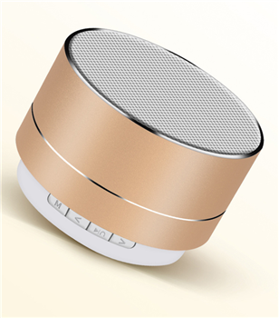 Portable Bluetooth Speaker