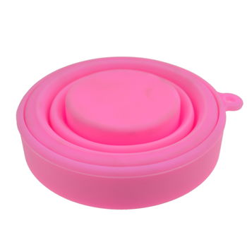 Collapsible TPE Pet Bowl with Lid