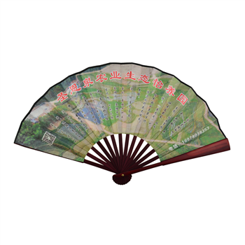 10 1/2" Folding Fans