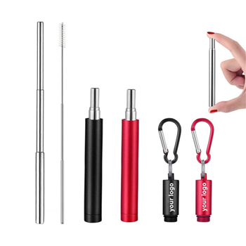 Collapsible Stainless Steel Straw Kit