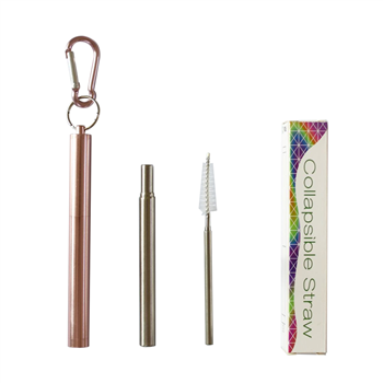 Collapsible Stainless Steel Straw Kit