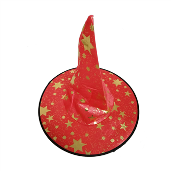 Witch Wizard Hat