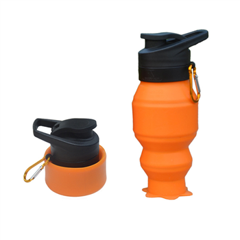 19OZ Outdoor Portable Collapsable Bottle