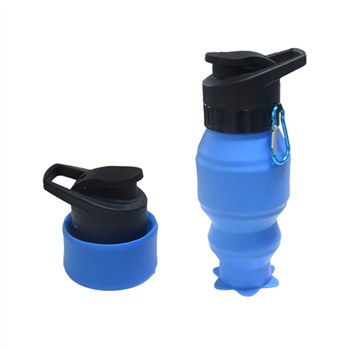 19OZ Outdoor Portable Collapsable Bottle
