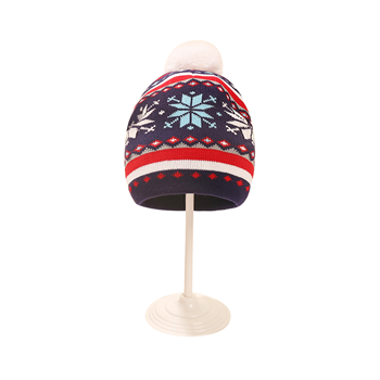 Christmas Knit Beanie