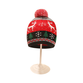 Christmas Knit Beanie