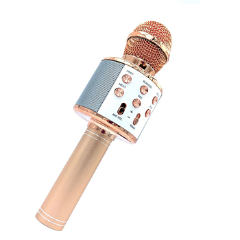 Bluetooth Karaoke Microphone