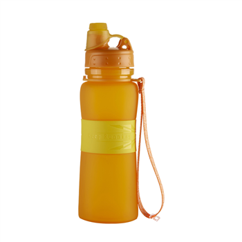 Silicone Collapsible Water Bottle