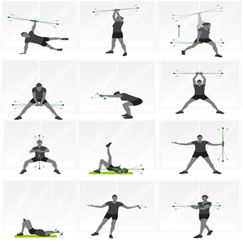 Multi-Function Training Stick