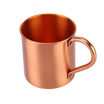 Copper Mug