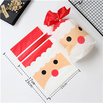 Christmas Gift Bag