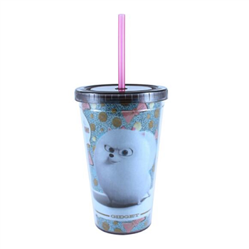 20OZ double wall Acrylic Tumbler