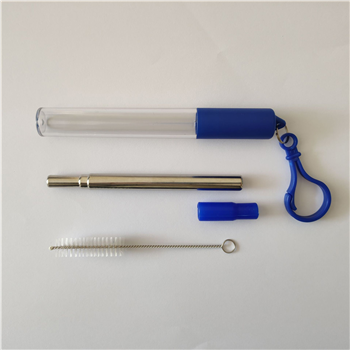 Reusable Stretchable Stainless Steel Straw