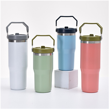 30oz Straw Tumbler with Handle