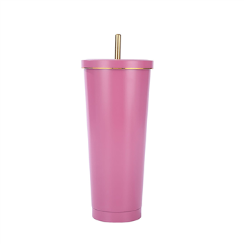 25 OZ Double Wall Insulated Tumbler With Straw