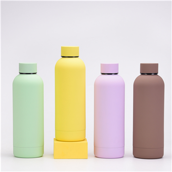 Stainless Steel Water Bottle