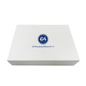 Video Brochure Custom Magnet Box