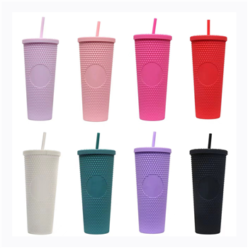 24oz Double Wall Plastic Tumbler