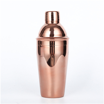 Stainless Steel Cocktail Shaker