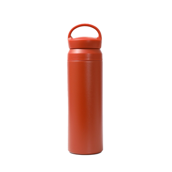 Vacuum Insulated Tumbler 