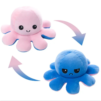 Reversible Plush 