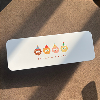 Tinplate Long Storage Box 