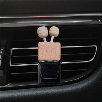 Hanging Car Air Freshener