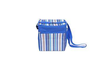 Cooler Bag
